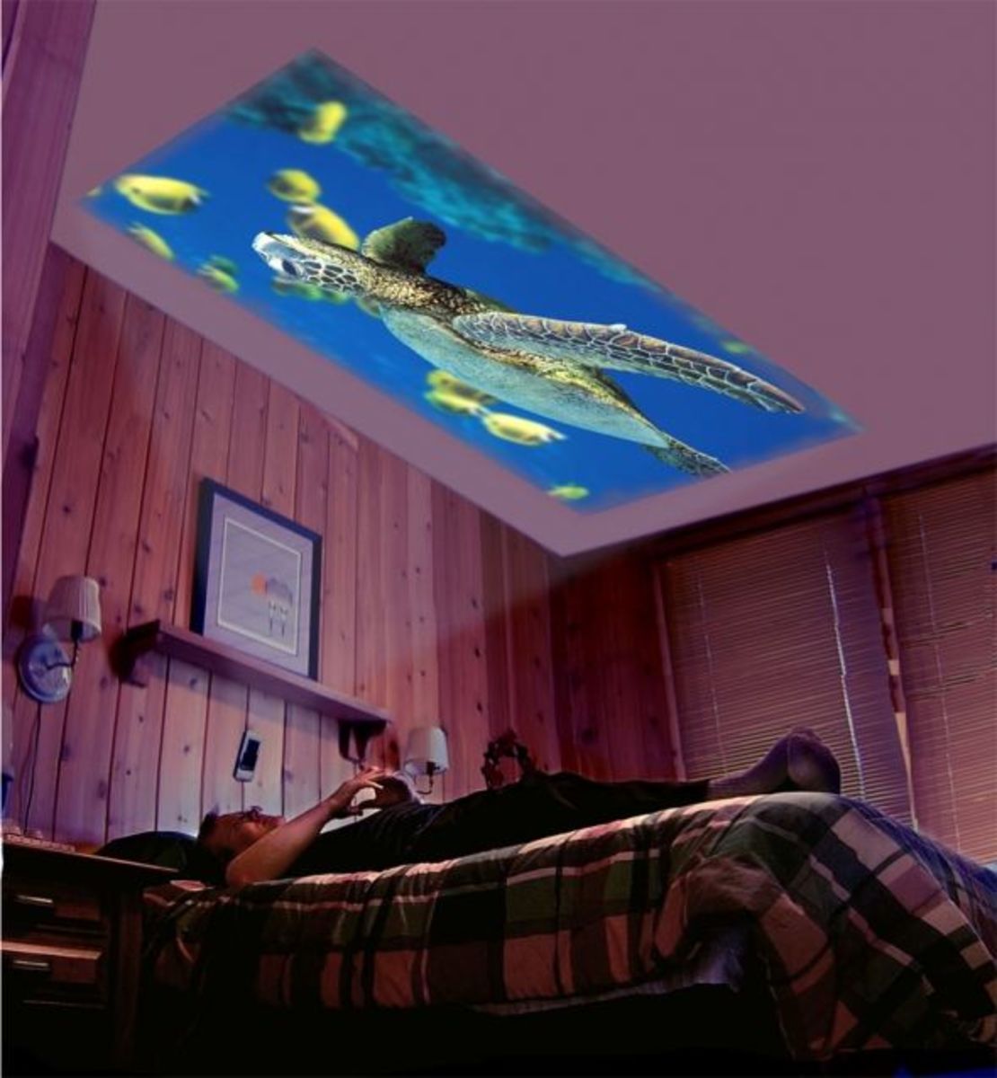 HeimCinema™ Pocket Projector