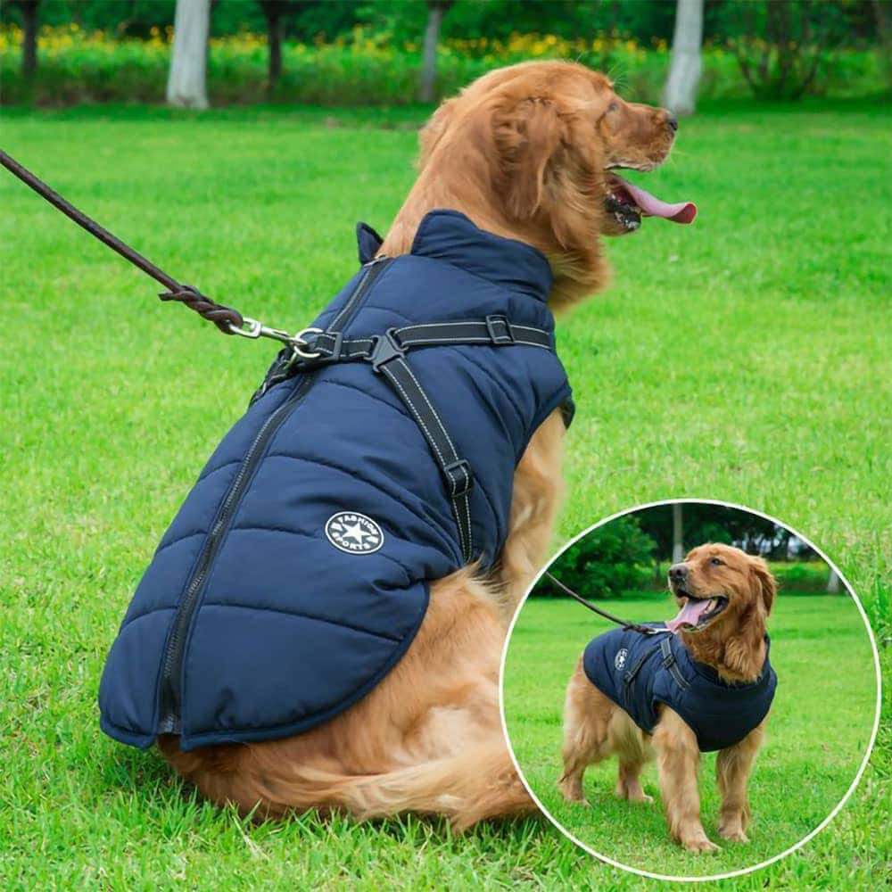 PawsGuard™ | Le manteau d’hiver protecteur ultime pour chiens