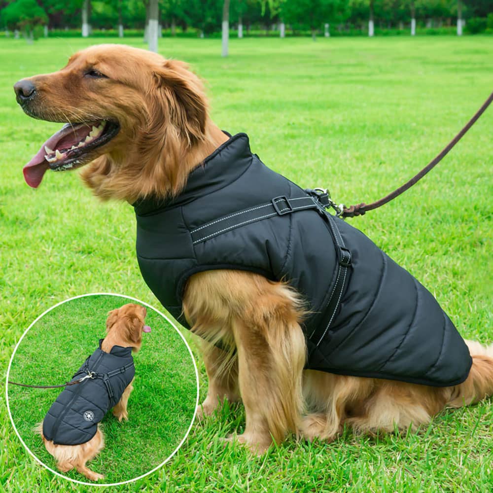 PawsGuard™ | Le manteau d’hiver protecteur ultime pour chiens