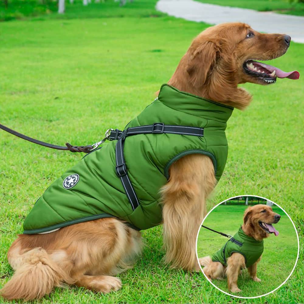 PawsGuard™ | Le manteau d’hiver protecteur ultime pour chiens