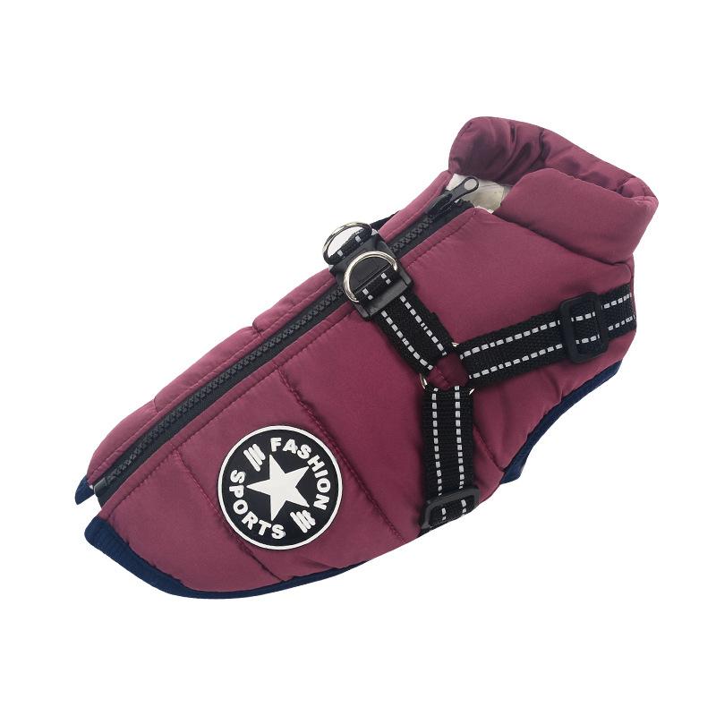 PawsGuard™ | De Ultieme Beschermende Winterjas Voor Honden - HeimDeals.be