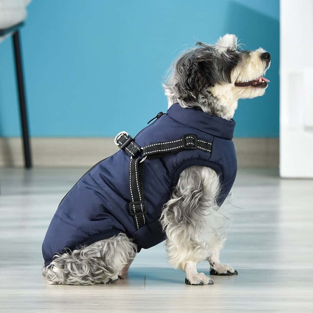PawsGuard™ | Le manteau d’hiver protecteur ultime pour chiens