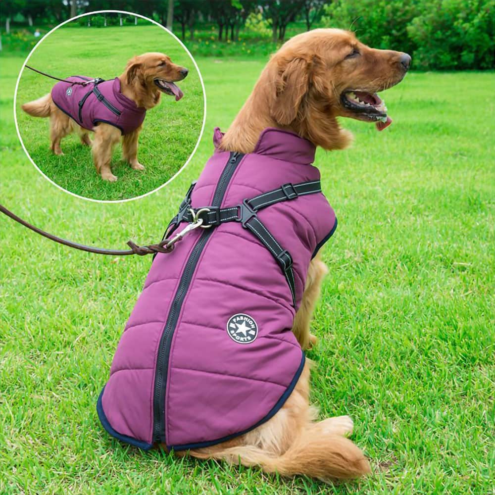 PawsGuard™ | Le manteau d’hiver protecteur ultime pour chiens