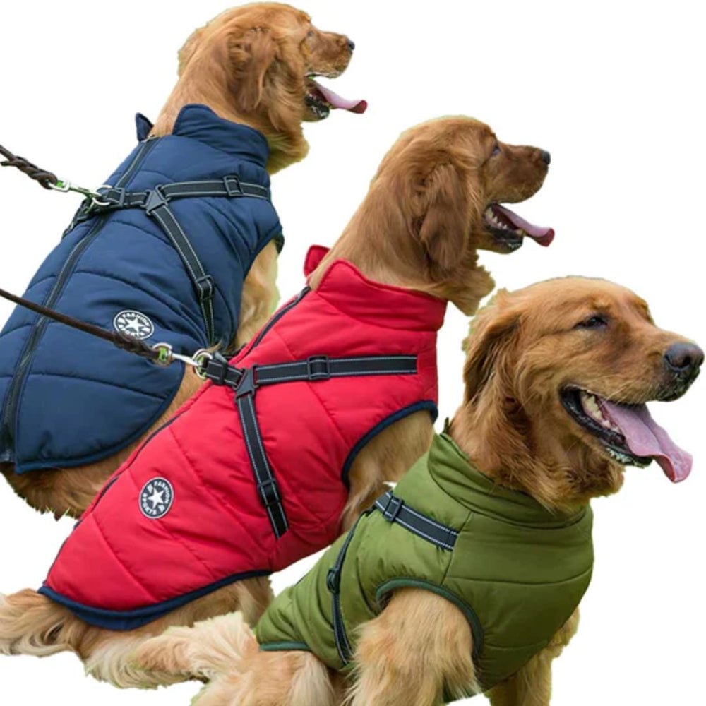 PawsGuard™ | Le manteau d’hiver protecteur ultime pour chiens